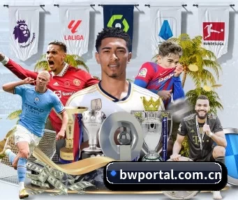 宝威 APP | Baowei Sports